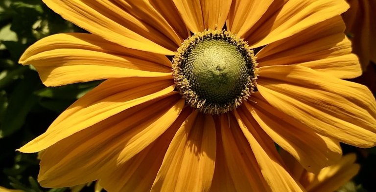 category-catalog-d-2