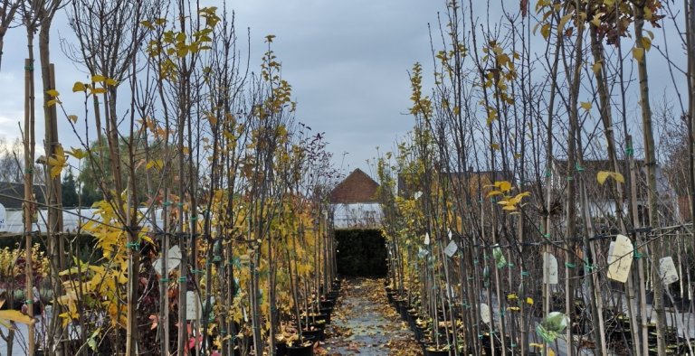 category-catalog-d-5