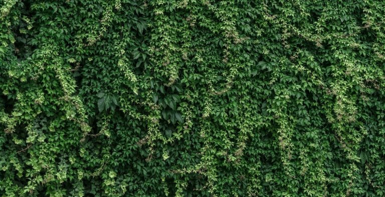 category-catalog-d-4