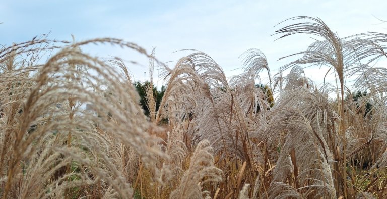 category-catalog-d-3